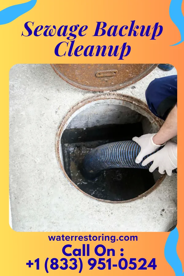 Sewage Backup Cleanup in Lake Timberline, MO