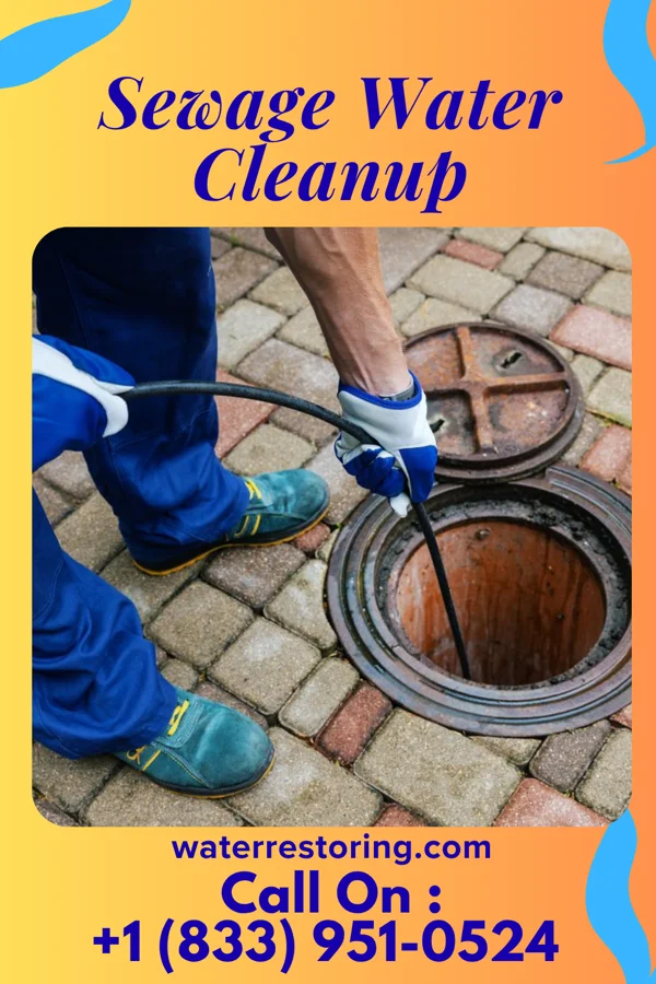 Sewage Water Cleanup in Lake Timberline, MO